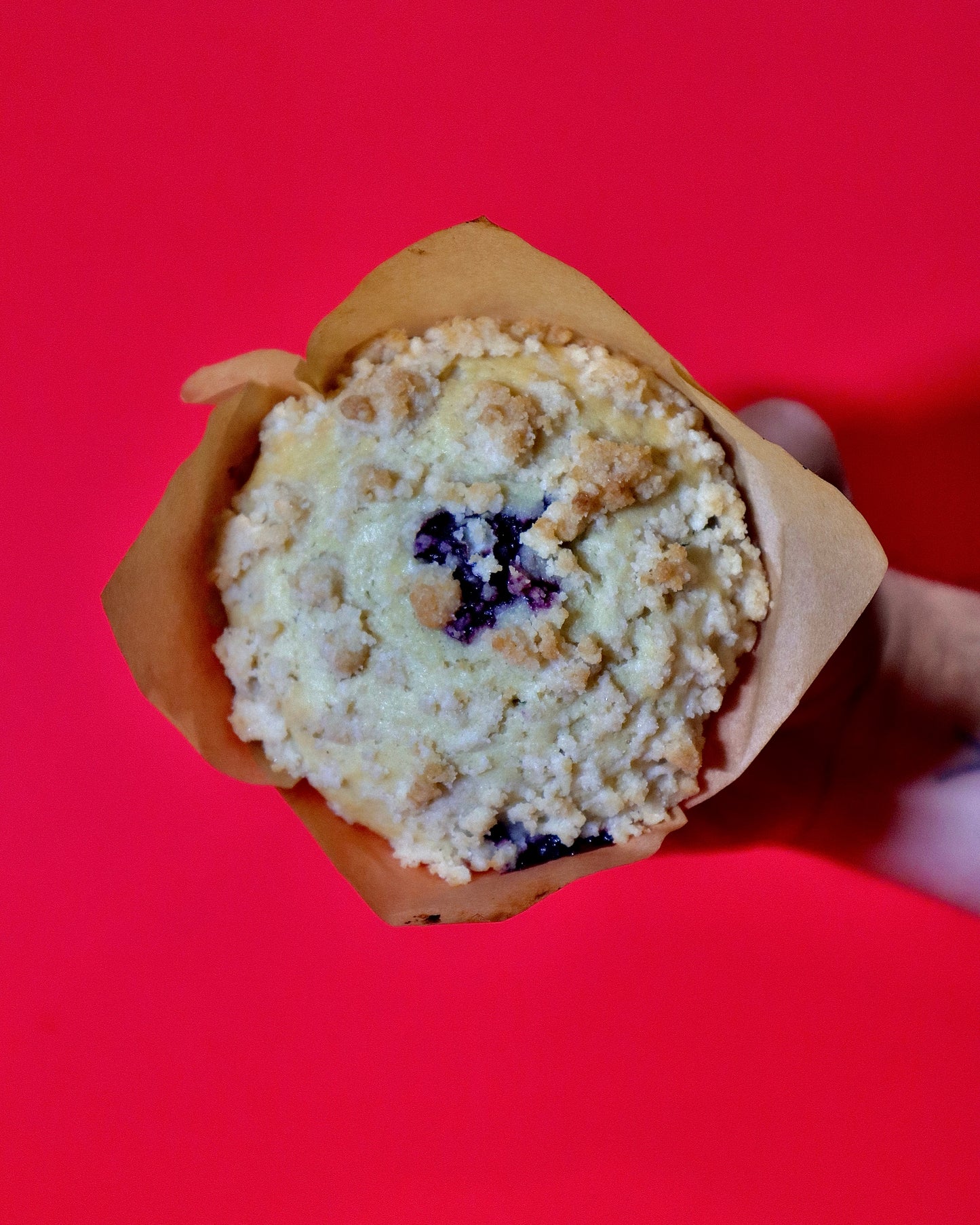 Blueberry Muffins