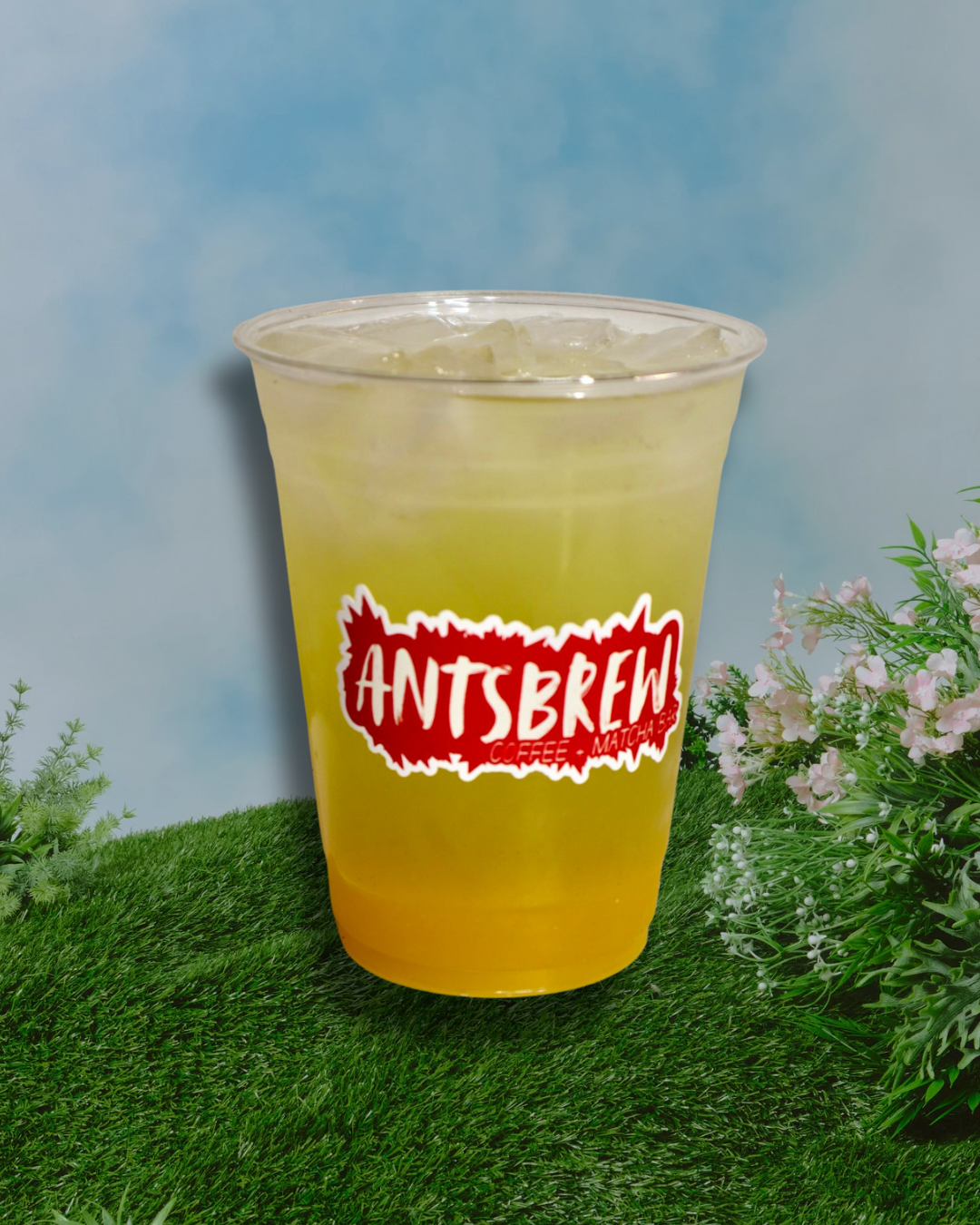 Passionfruit Green Tea